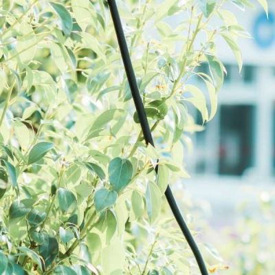 目前国家允许的购彩平台